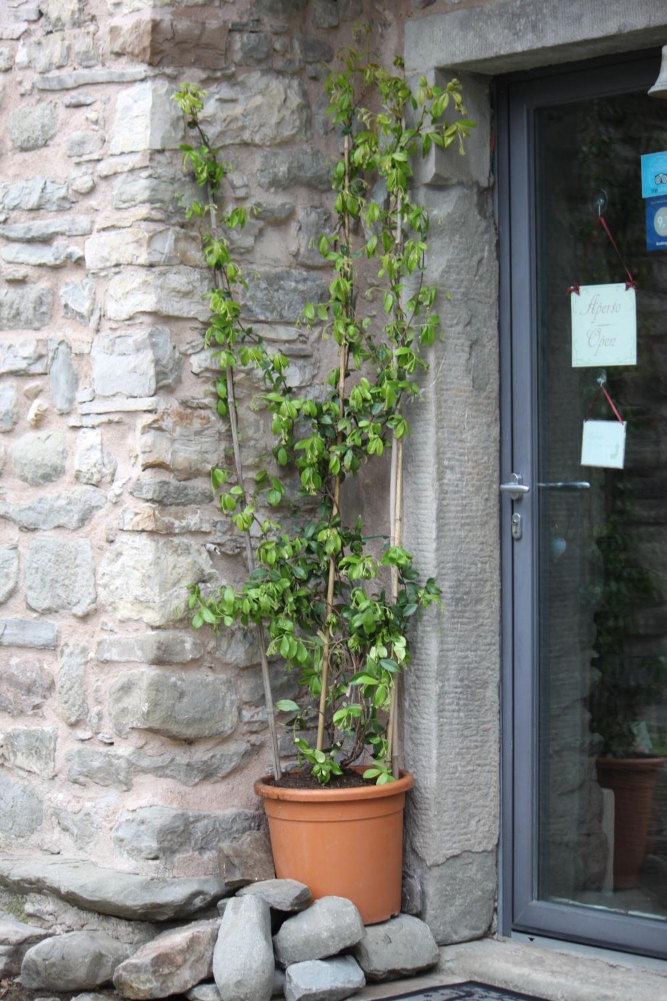 Villa Eremo Gioioso Pontremoli Exterior foto